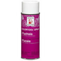 Fuchsia Spray